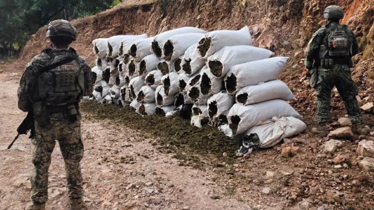 Operativo en Sinaloa: detienen a 12 y aseguran armas, granadas y más de 1.3 toneladas de marihuana