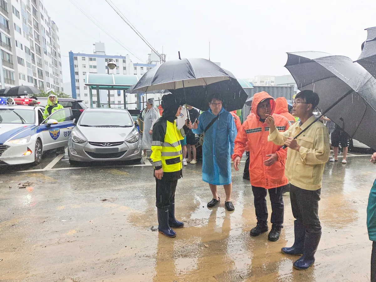거제시, 800mm 넘는 기록적 폭우…전 직원 투입해 피해복구 총력