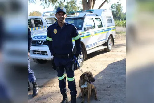 ‘He lived to protect his family’: K9 handler among three killed in Malmesbury crash