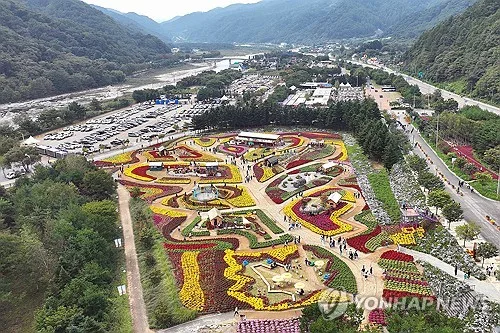 낭만·힐링·체험이 한가득…인제가을꽃축제 24일 개막