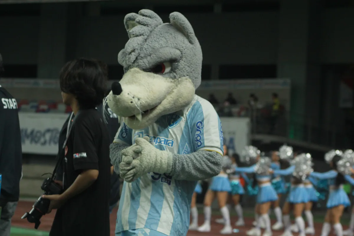 Com títulos, mas sem acesso: qual é a avaliação da temporada do Paysandu? Vote!