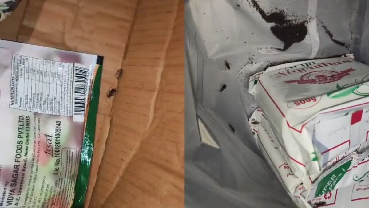 Cockroaches, Filth: Food Safety Crackdown At Posh Bengaluru Clubs