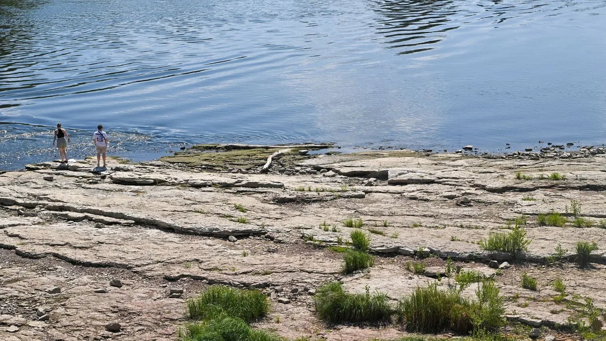 Niedrigwasser und die Folgen: „Die Elbe ist eine Diva“ – Was jetzt getan werden muss