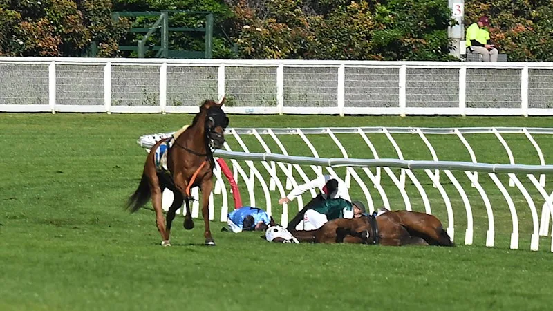 Why all the details of the inquiry into Caulfield Cup horse death must be made public