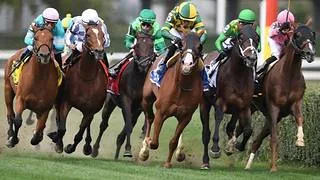 Jinete venezolano rompe la taquilla en este hipódromo con un dividendo de 64 dólares a ganador