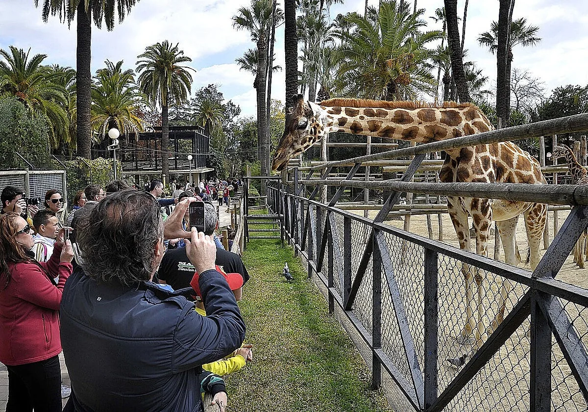 Cierran el Zoo de Jerez por un caso de virus de la Fiebre del Nilo y otro sospechoso