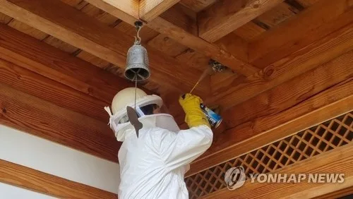 보령 아파트서 행인 5명 벌에 쏘여…생명에는 지장 없어
