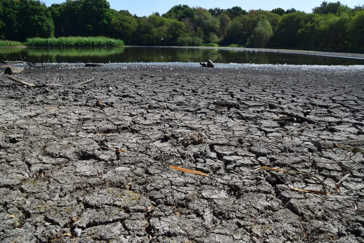 London set for days of rain at end of record summer: Will it save capital's parched parks?