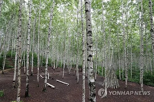 강원 흐리고 5∼20㎜ 소나기…낮 최고 32도