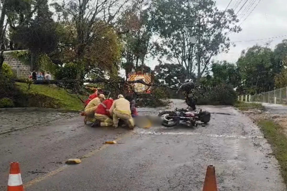 Motociclista fica gravemente ferido após passar por área isolada e ser atingido por árvore em Curitiba