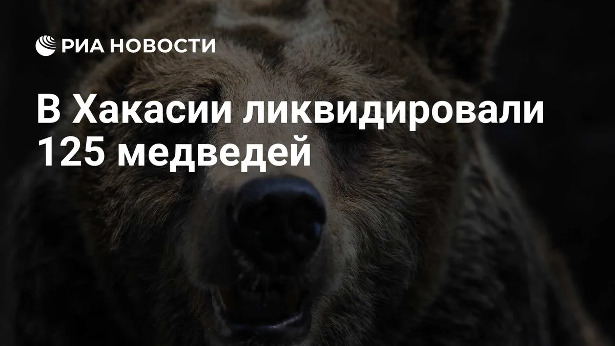 В Хакасии ликвидировали 125 медведей