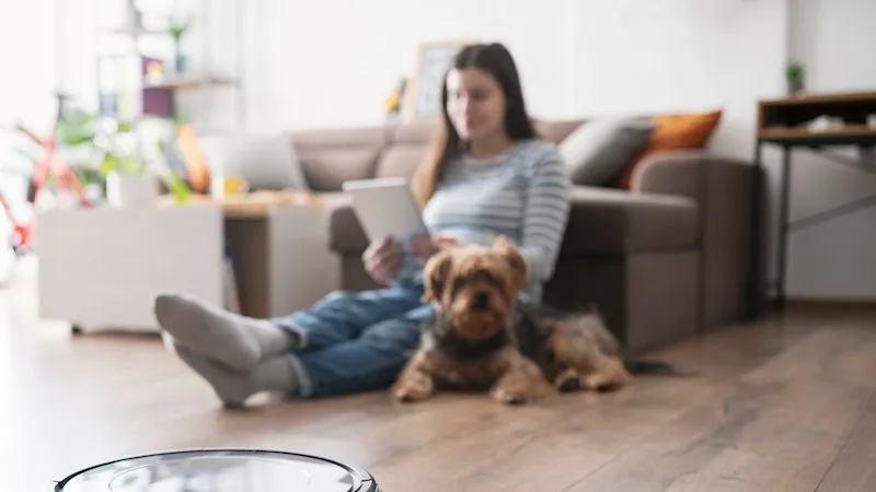 Fancy a self-cleaning house? Let a high-end robot step in