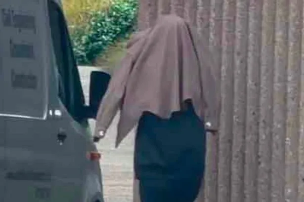 Mum-of-four collapses in court as she's spared jail for sex attack on taxi driver