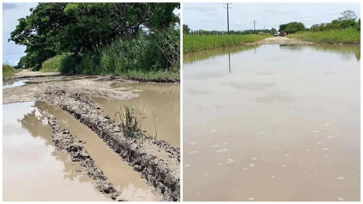 Una destrozada vialidad agrícola en Canaguá de Barinas tiene a los productores "pidiendo cacao"