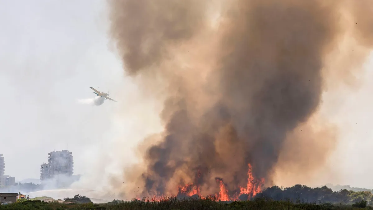 Evacúan el pueblo y los cámpins de El Saler (Valencia) ante el avance del incendio forestal