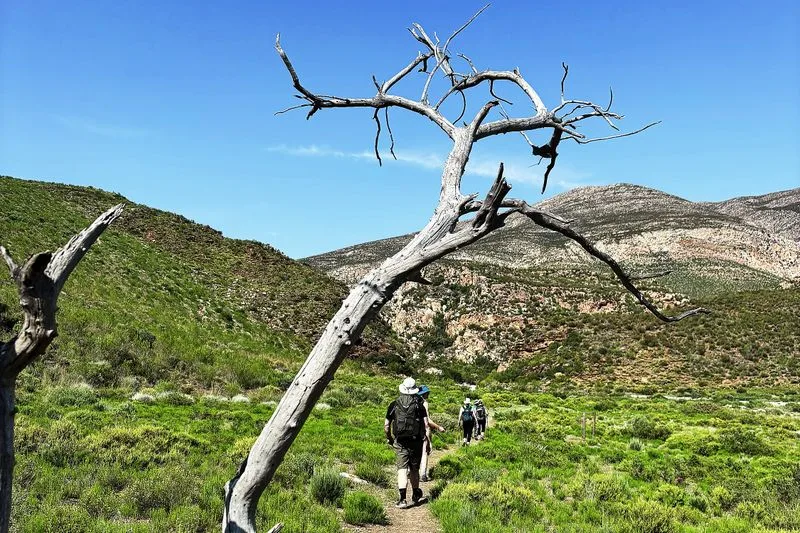 ESCAPE: Walking the Leopard Trail — Four days of fynbos, fatigue and fierce resilience