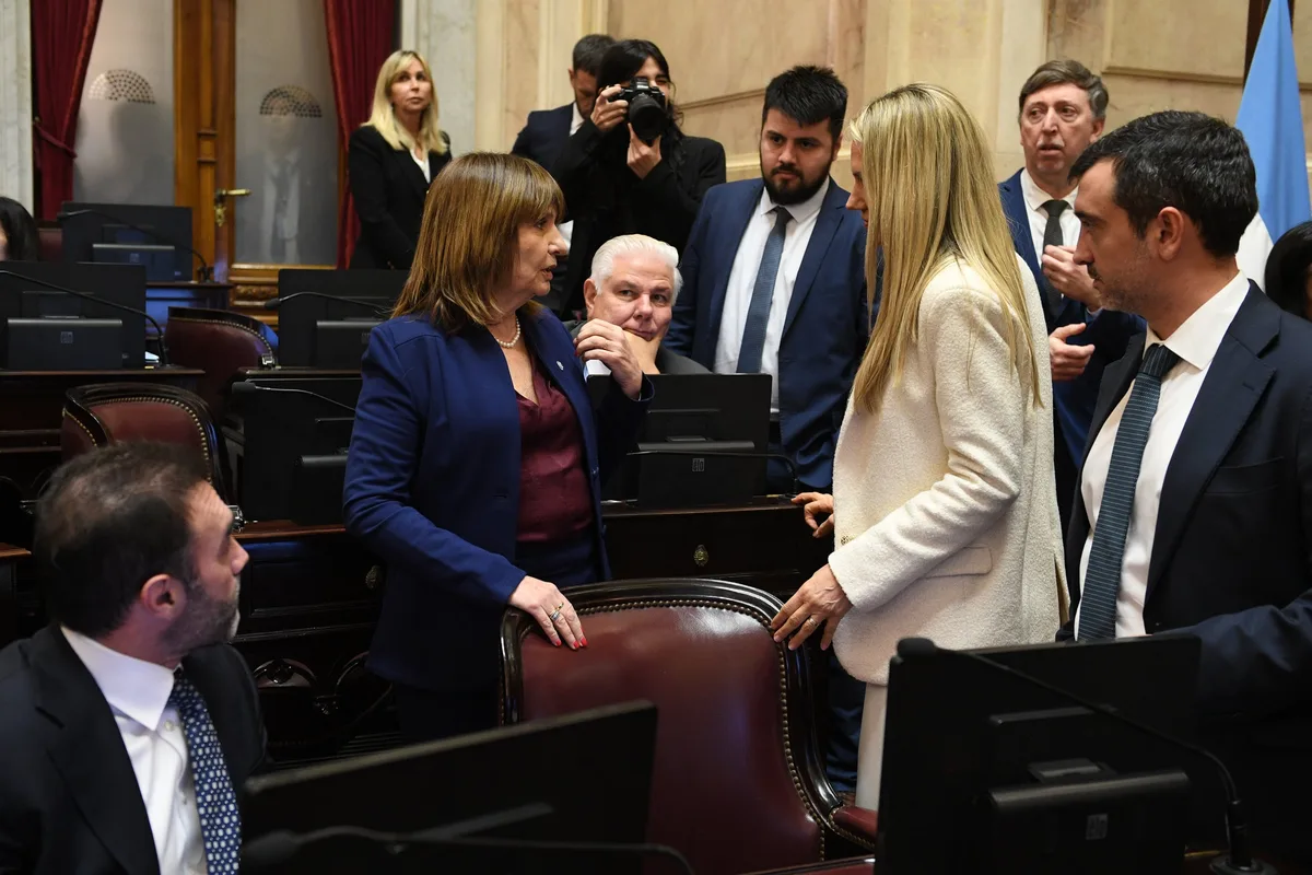 Bullrich cerró Patentes y la reforma de Salud Mental con cambios y apunta a una próxima sesión