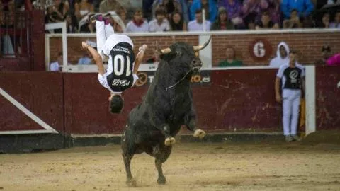 Máxima tensión tras un apagón en pleno concurso de recortadores en San Agustín de Guadalix