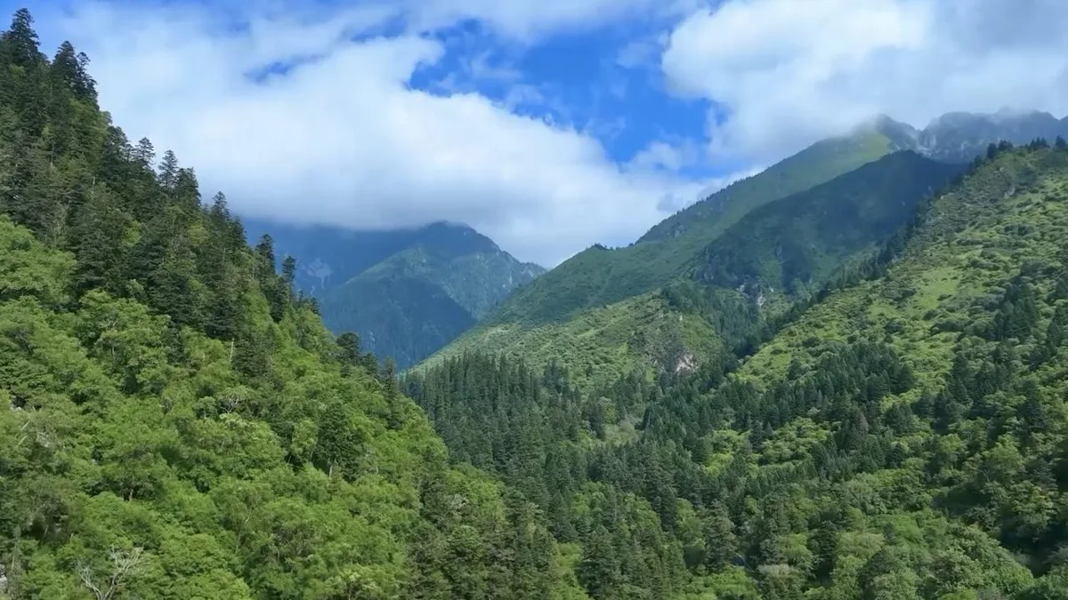 China's national park network yields fruitful results five years on