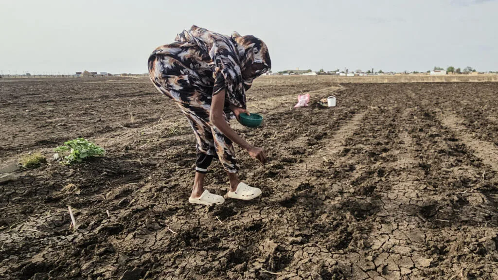 Sécheresse au Soudan et au Tchad: «On se retrouve avec des hauteurs d’eau qui reviennent aux années les plus sèches»