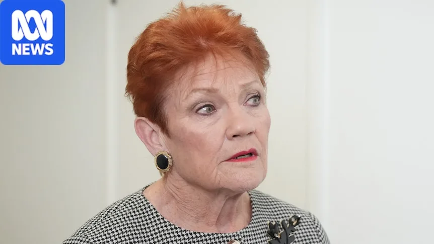 Minister tells Hanson to look in mirror over political violence claim