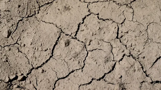 Sem acordo global, Zero pede ação urgente de Portugal contra seca