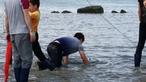 남해군, 29일 유포마을서 맨손 고기잡이 '개막이 축제'