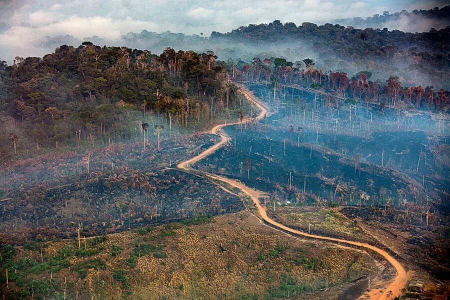 Governo suspeita de incêndios criminosos no Amazonas e investiga possível ligação eleitoral