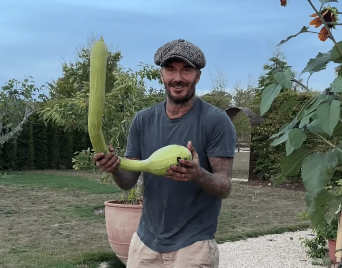 David Beckham impresses wife Victoria with his odd pumpkin after couple return from Reading festival