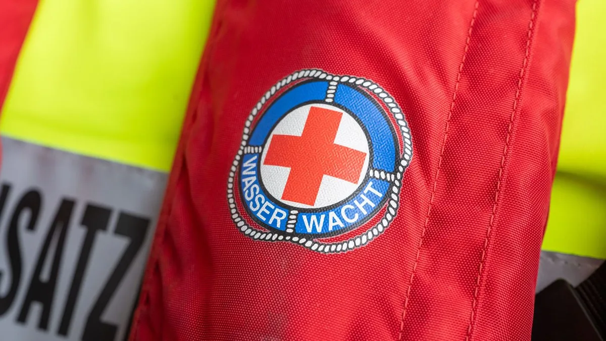 In reißenden Wildbach gestürzt: Wasserwacht und Feuerwehr können kleinen Hund nicht retten