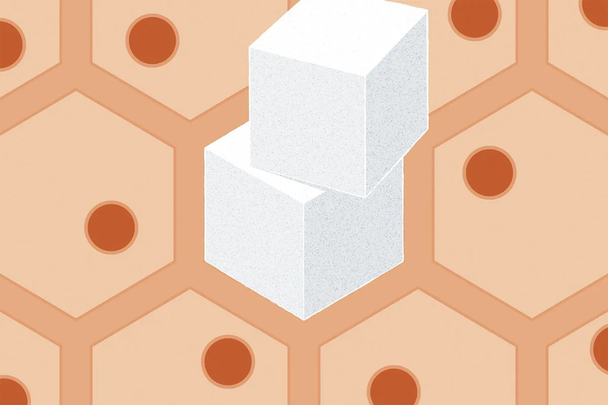 Popular drug metformin transforms your gut into a sugar sink
