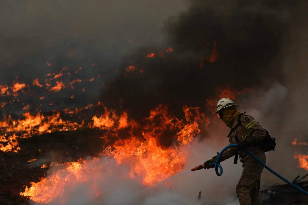 Incêndio em Ponte de Lima mobiliza 184 operacionais e duas aeronaves