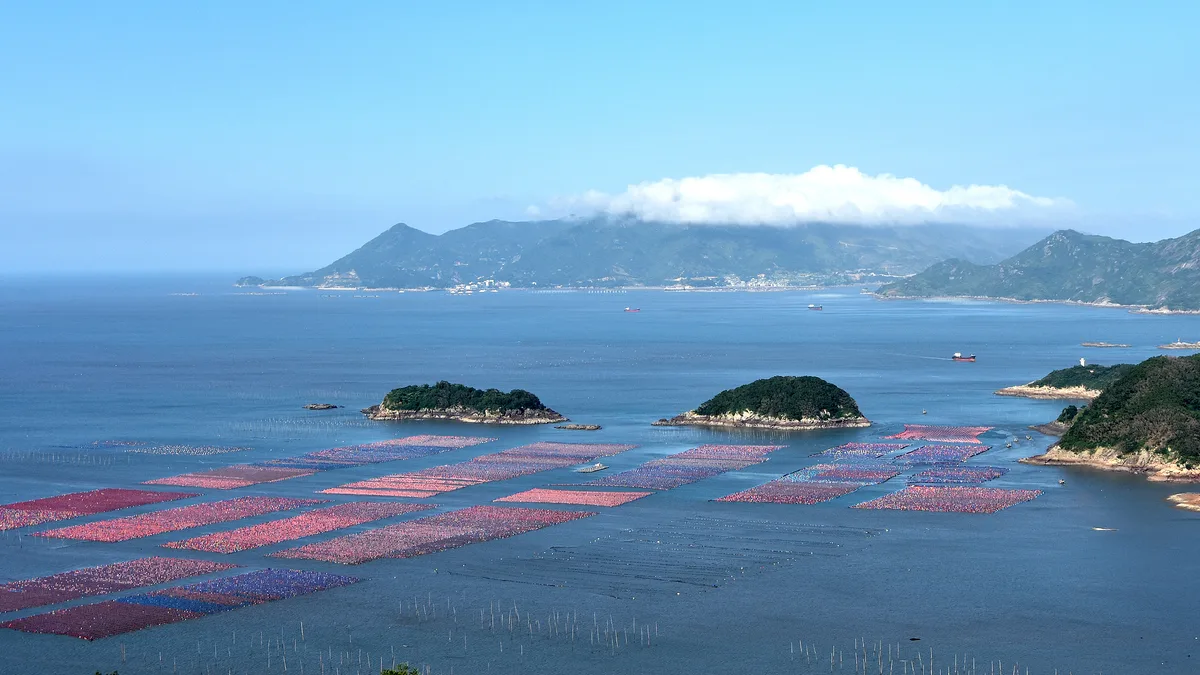 China, Solomon Islands advance seaweed blue carbon cooperation