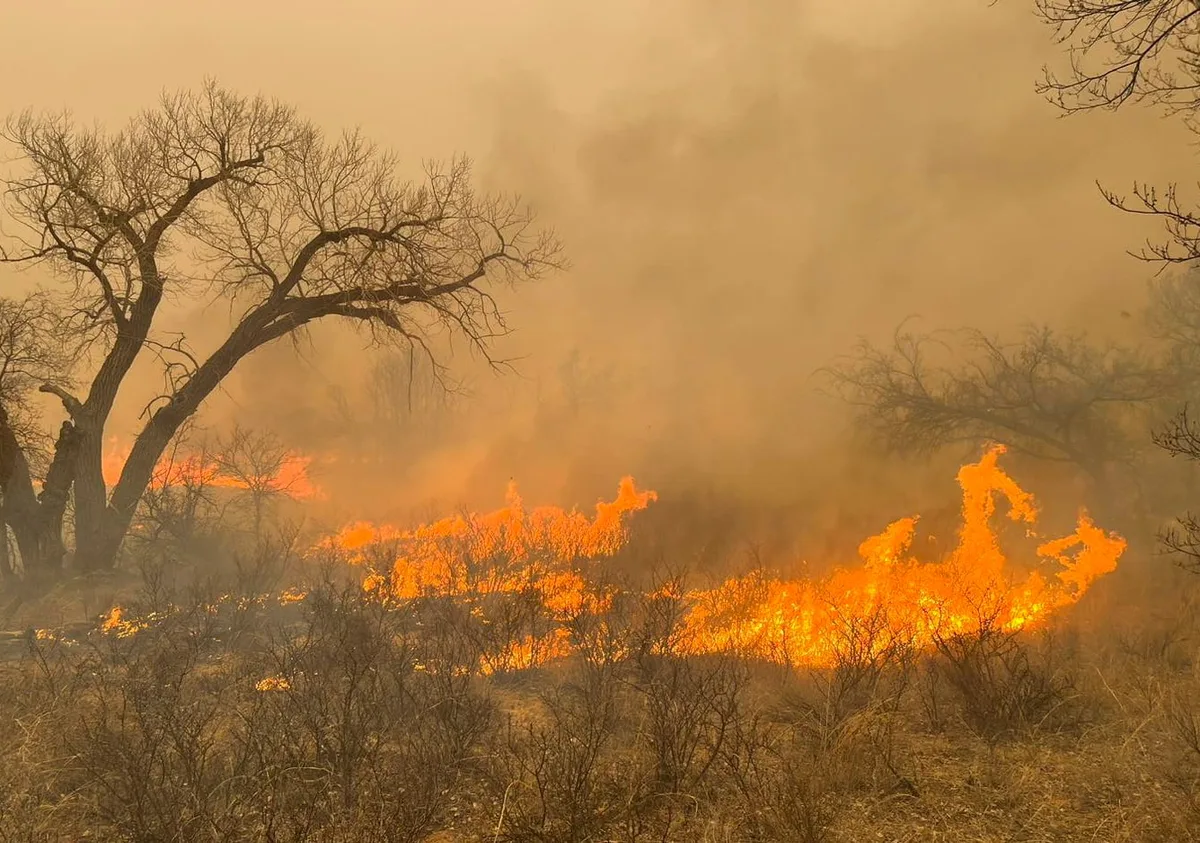El incendio Ross arrasó al menos 32.375 hectáreas en el norte de Texas y forzó evacuaciones