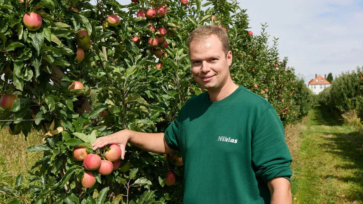 Obstanbau: Äpfel zum Selberpacken – ungewöhnliche Idee im Alten Land