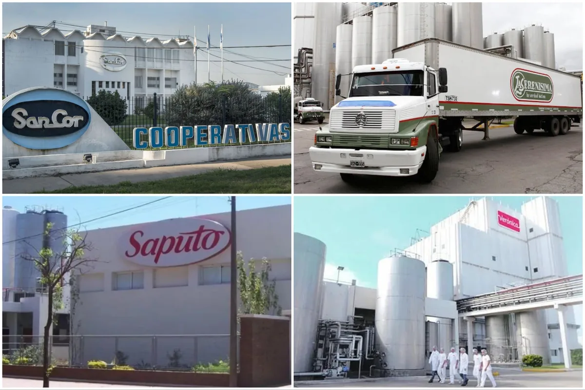 Nuevos dueños, cierres y firmas históricas que desaparecieron: así quedó el nuevo mapa de la industria láctea argentina