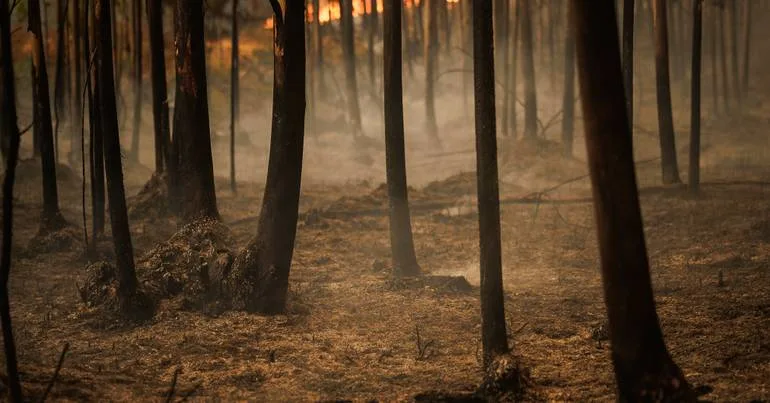 Circulação retomada no IP2 em Portel após incêndio