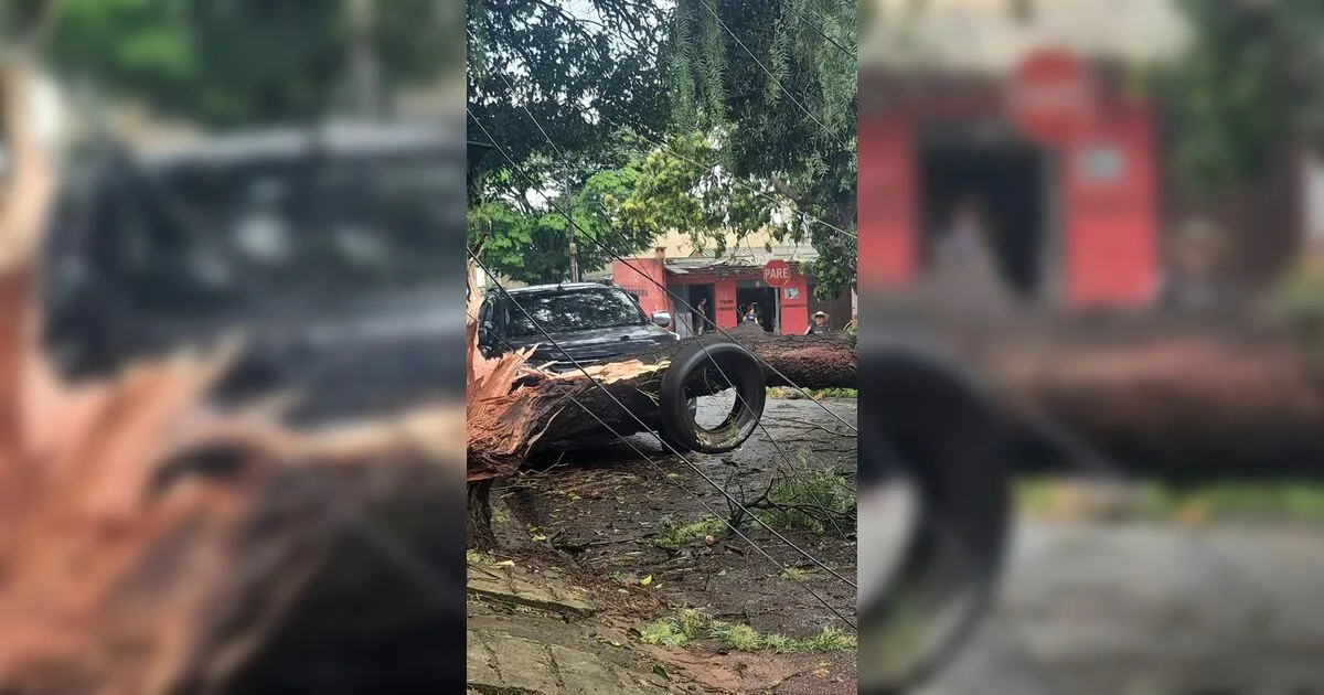 Temporal deixa 4.821 clientes sem energia em Apucarana