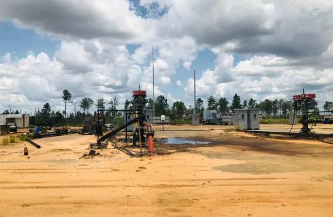 Herederos de Cisneros exigen restitución de activos en Petrodelta tras procedimiento que califican de arbitrario