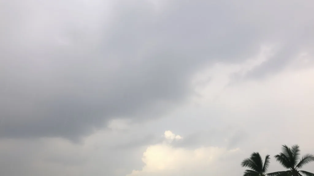 ¿Cómo estará el clima en Miami este miércoles 19 de agosto?