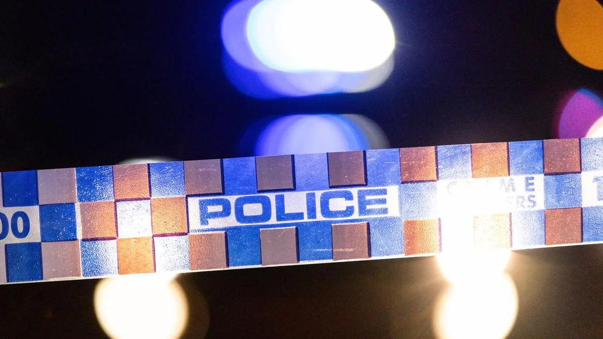Police probe 'horrifying' home invasion, extortion plot