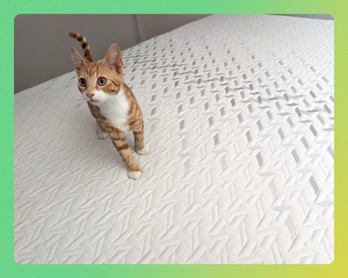 Nectar Classic memory foam mattress review: an outstanding budget buy