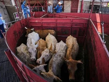Economists don't expect reopening the US to Mexican cattle imports to reduce high beef prices