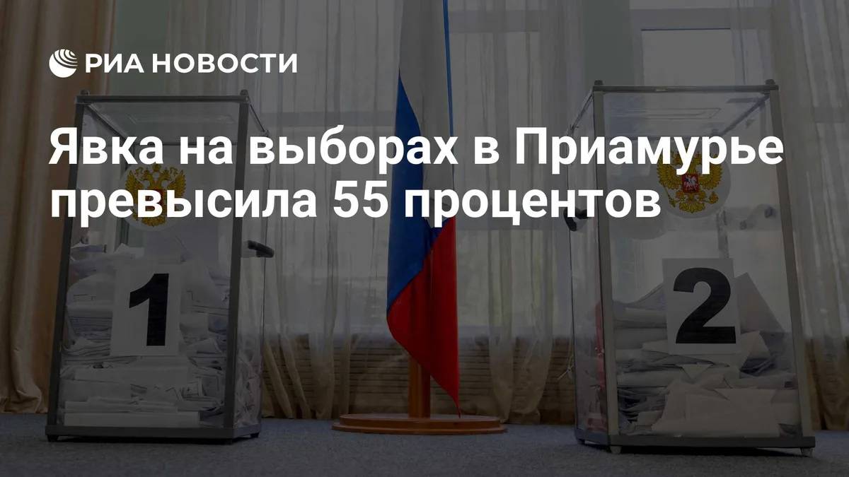 Явка на выборах в Приамурье превысила 55 процентов
