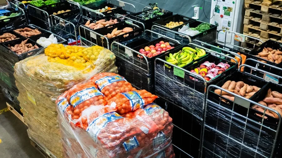 Nach schlechter Erntebilanz: Expertin: Keine leeren Regale trotz geringer Ernte