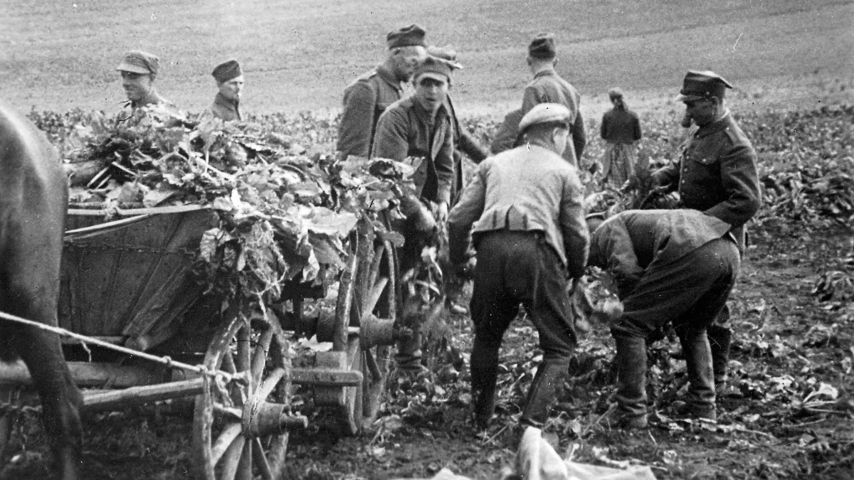 Einstige Zwangsarbeiter: „Sie warten darauf, dass wir sterben“