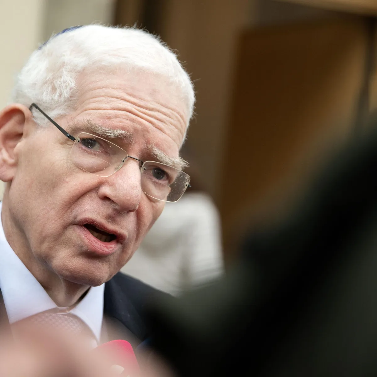 Vor Sachsen-Anhalt-Wahl - Präsident des Zentralrats der Juden warnt vor AfD
