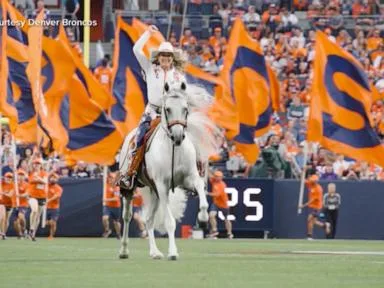 WATCH: Meet the Denver Broncos’ real-life equine ambassador