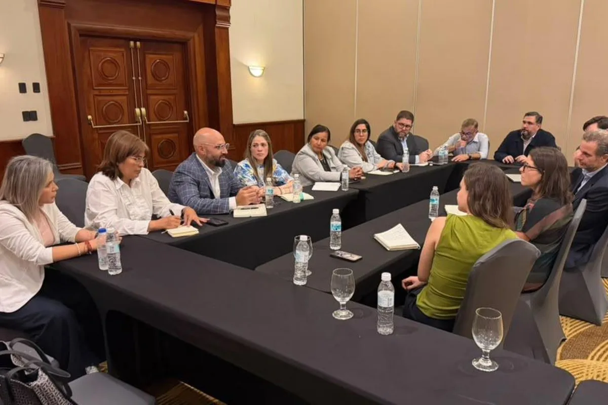 AN 2015 se reunió con HRW para abordar la situación de los DDHH y presos políticos en Venezuela