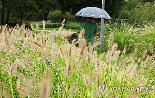 연휴 마지막 날 전국 곳곳 소나기…일교차 15도 주의